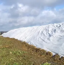 Agrowłóknina do przykrywania buraków na pryzmie
